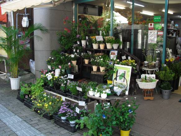 「愛花夢」　（長崎県長崎市）の花屋店舗写真3