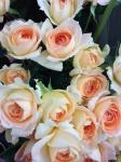 img_00741