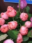 img_0079