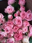 img_00871